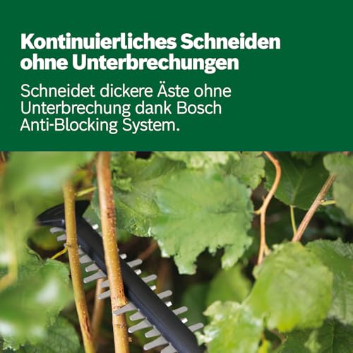Bosch Akku-Heckenschere UniversalHedgeCut 18V-50 (1 Akku 2,5 Ah, 18-Volt-System, Messerlänge 50 cm, im Karton)