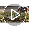 Bosch Professional 18V System Akku-Heckenschere GHE 18V-60 (bürstenloser Motor, Schnittkapazität von 20 mm)